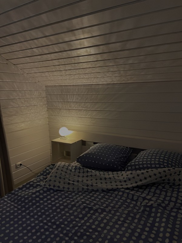 Эльза привлекательная девушка из Гуся хрустального цена от 4000 руб